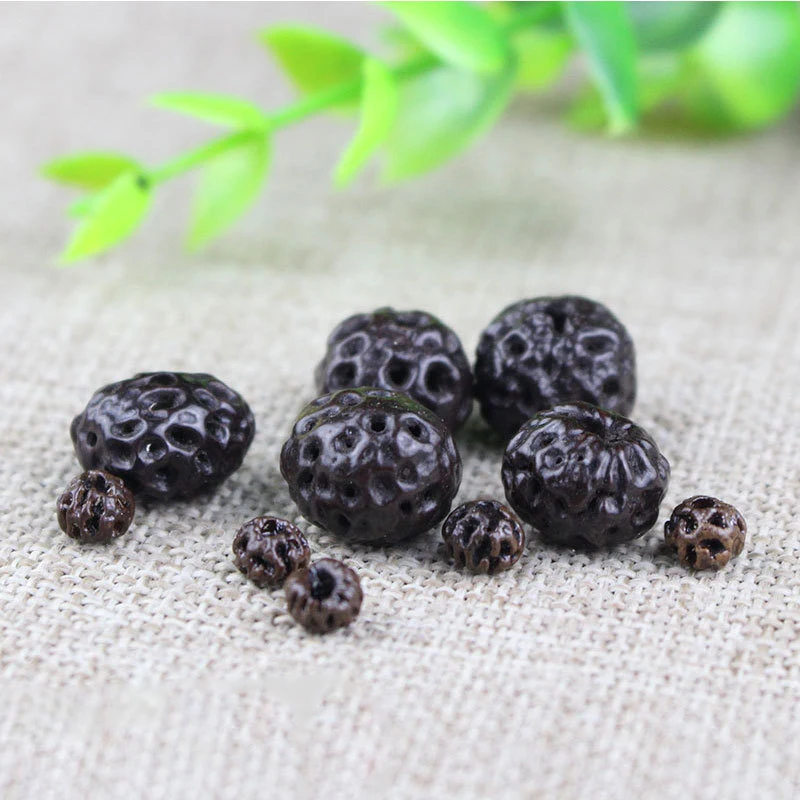 10pcs/Lot Natural Tian Yi Zi Seeds Beads Irregular Random Size Bracelets Necklace Mala Prayer Bodhi Seed Spacer DIY Jewelry Gift