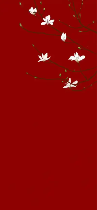 

YSIDO SCUD 2207 1850KV 2550KV 2306 1750KV 2500KV 3-6S Motor sin escobillas para Drones Mark 4 FPV Racing Freestyle 5 pulgadas 6