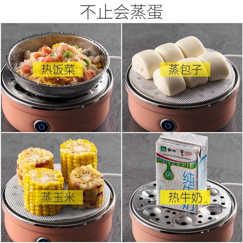 110V Automatic Power Off Household Small Mini Stainless Steel Breakfast Machine Boils Eggs