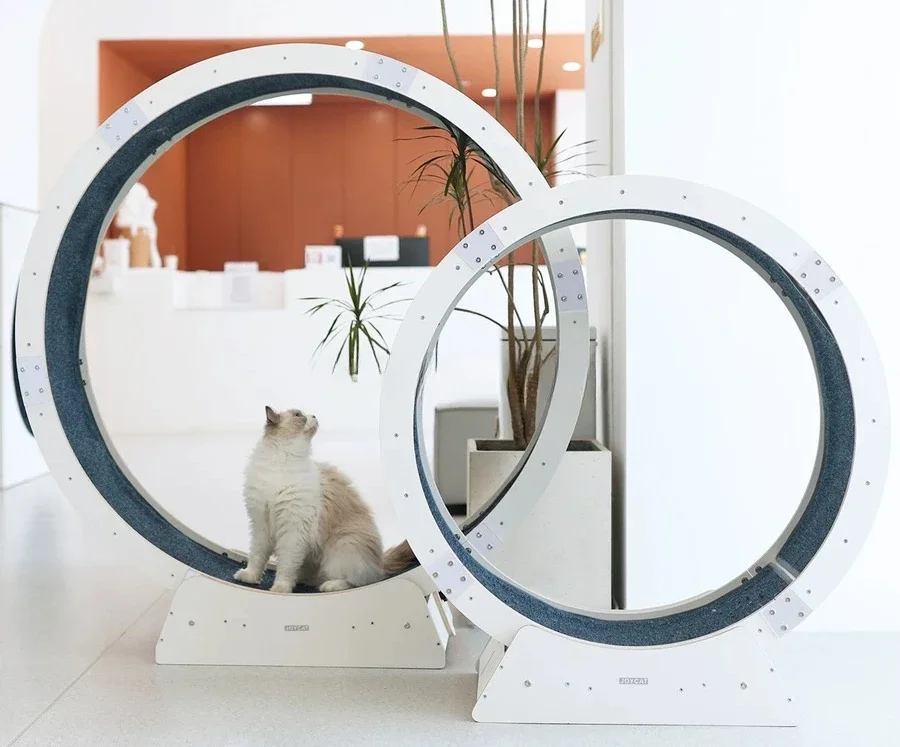 Y Cat treadmill solid wood cat climbing frame toy silent sports roller weight loss running wheel