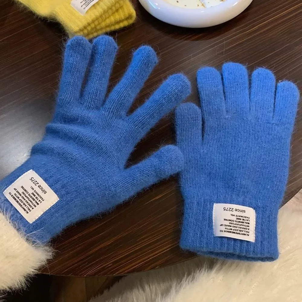 Full Finger Women Winter Warm Gloves Candy Colors Elasticity Warm Riding Gloves Windproof Protection From Cold