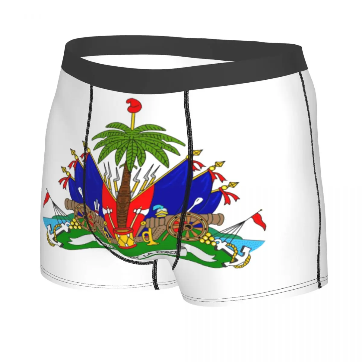 Haiti Flag Boxer Shorts Men 3D Print Male Breathbale Underwear Panties Briefs