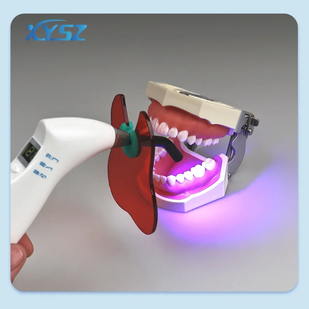 Wireless Dental LED Light Curing 1500mw/c㎡ Dental Led Cure Lamp Blue Lights Intensity Wide Spectrum Cure Lamp Dentist Equipment