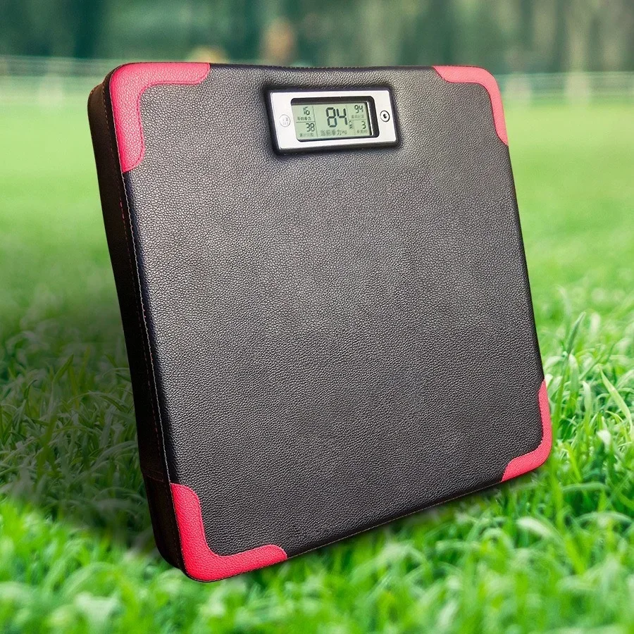 For Portable Boxing Tester
