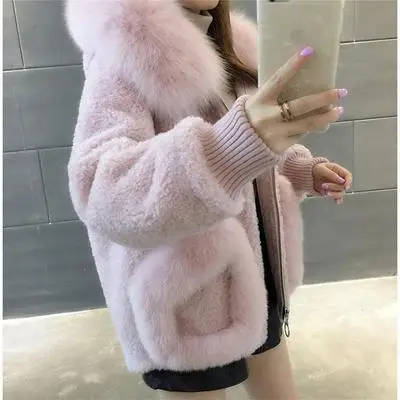 2024 New Imitation Fox Fur Grass Coat Women\'s Winter Hooded Short Coat