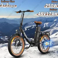 OT16 Electric Bike 250W Motor 48V17Ah Lithium Battery Aluminum Alloy Folding E-bike 20*3.0 Inch Fat Tire Snow Electric Bicycle
