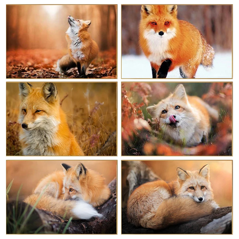 

RUOPOTY Painting By Numbers For Beginner Kits Autumn Fox Realistic, Cute, cunning, and clever For Home Decors