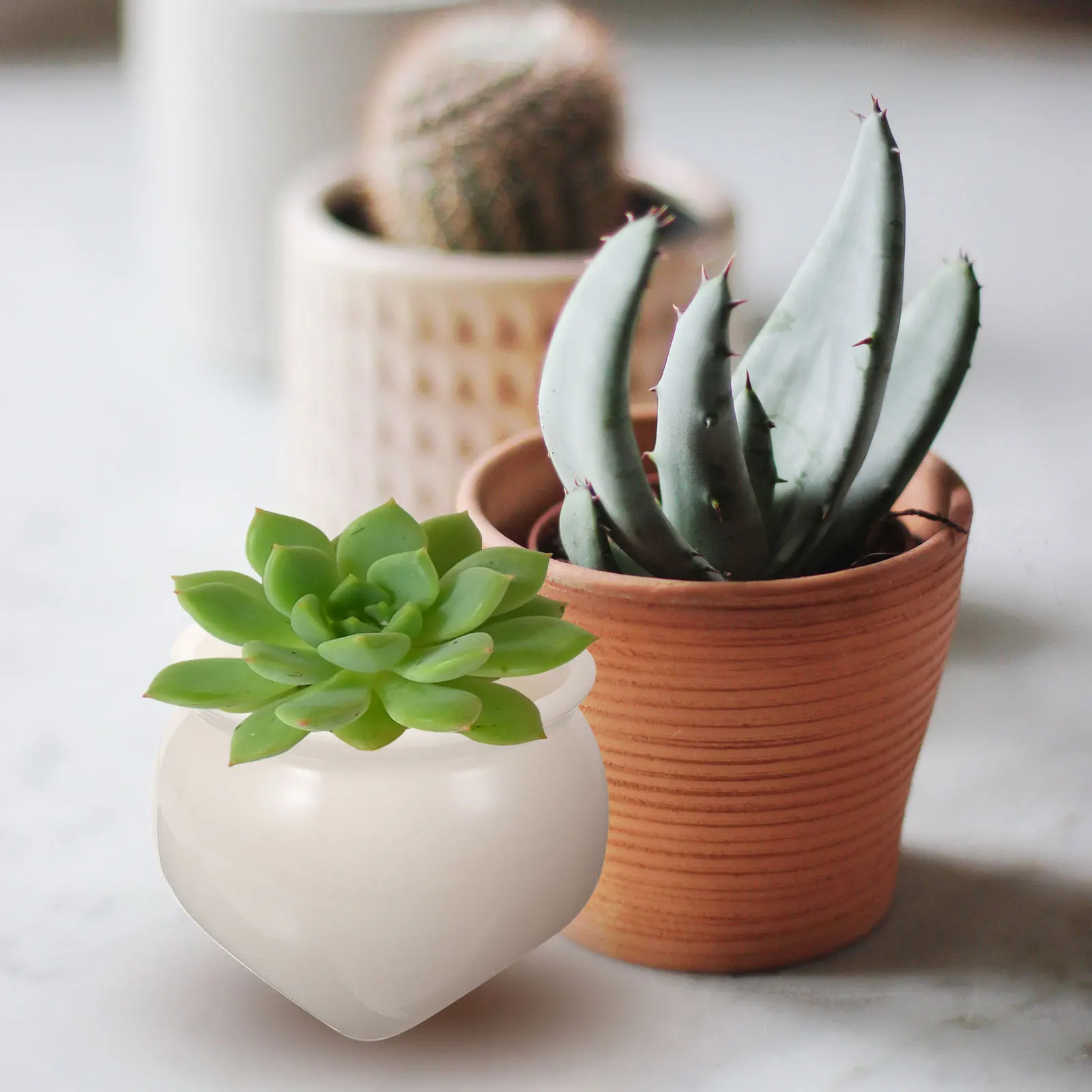 

High White Ceramic Plant Pot Compact Design Indoor Outdoor Succulent Cactus Flower Holder Plant Pot Succulent Pots