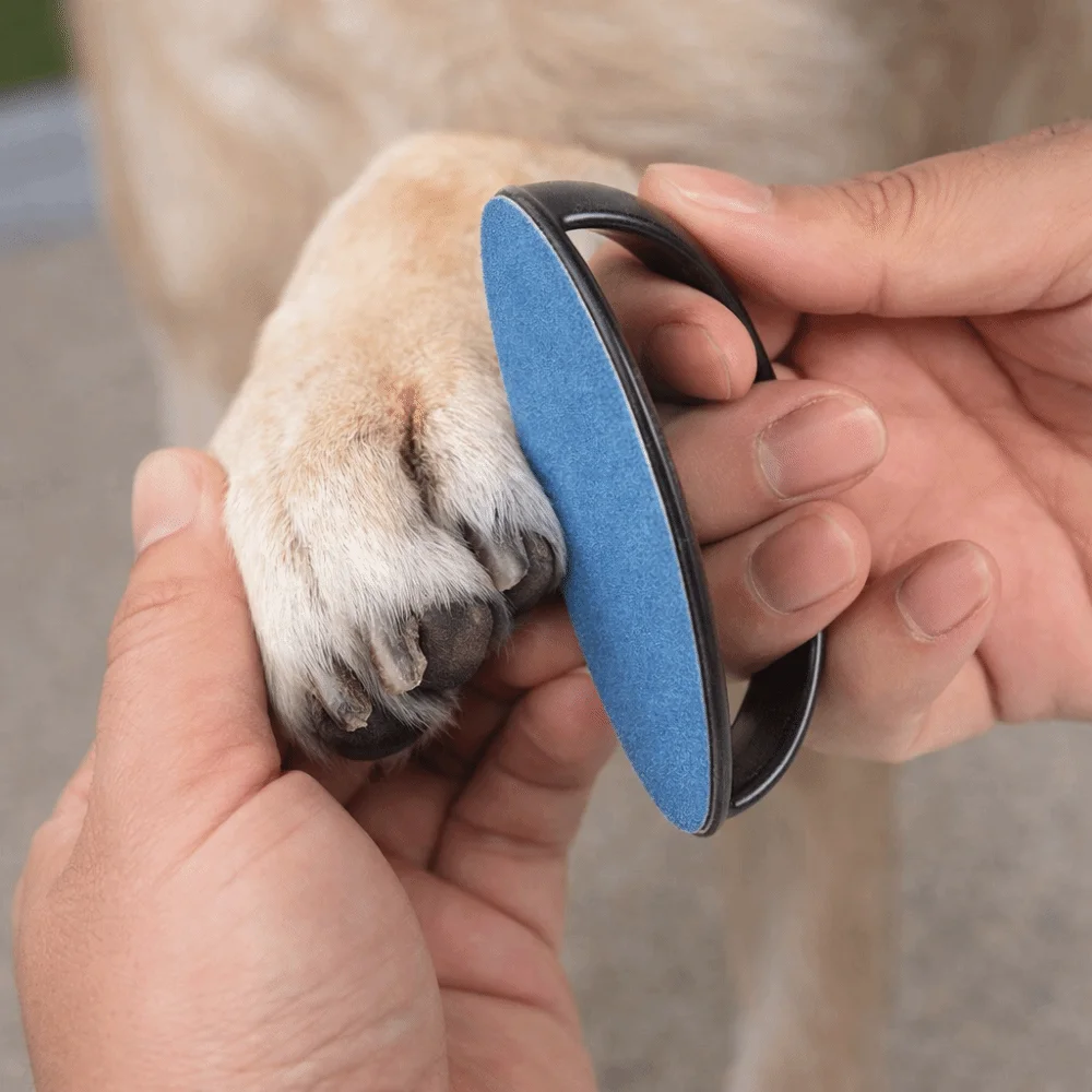 Replaceable Sandpaper Dog Nail File Board Portable Efficient Dog Nail Scratch Board Wear Resistant Pet Scratch Pad
