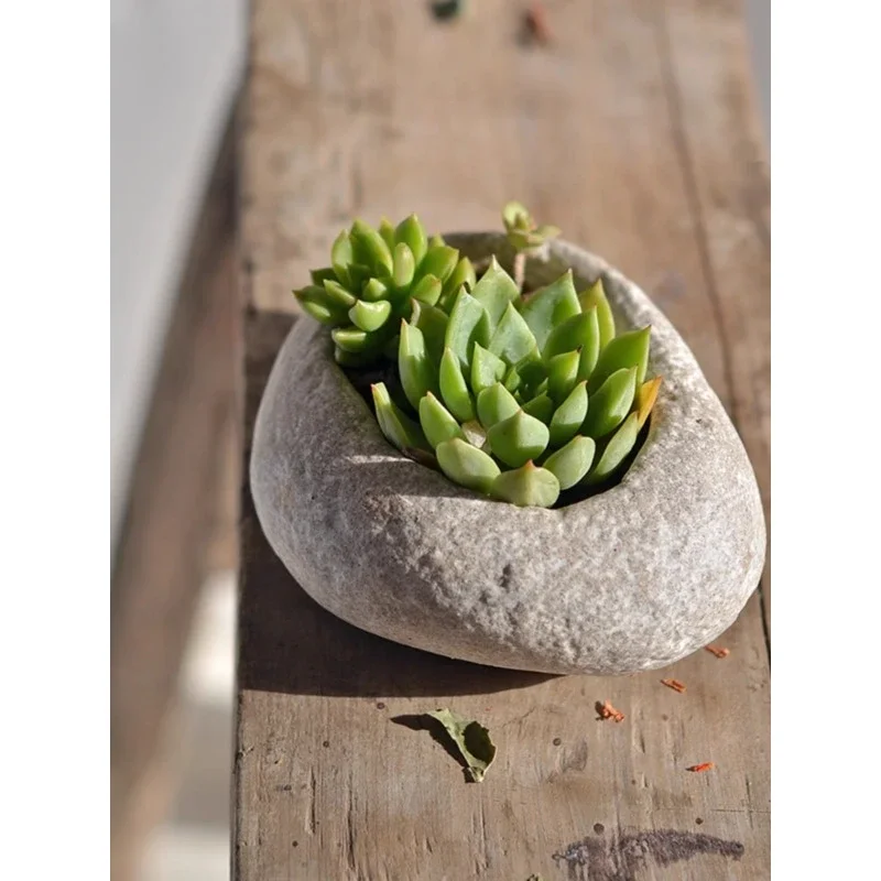 Macetas pequeñas literarias y creativas, guijarros  imitación, combinación  escritorio Irregular, macetas suculentas, planta