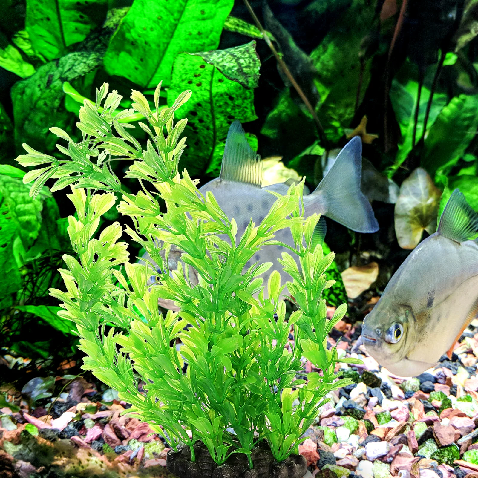 

6pcs Simulated Aquatic Plants Fish Tank Accessories Set Aquarium Decorations Plastic Resin Materials Non Fading Easy