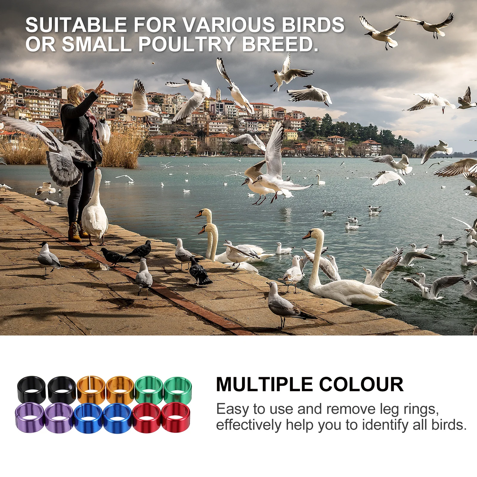 

12Pcs Colorful Pigeon Rings Aluminum Bird Leg Bands Smooth Safe for Chicken Dove Foot Identification Long Term Use Clip on