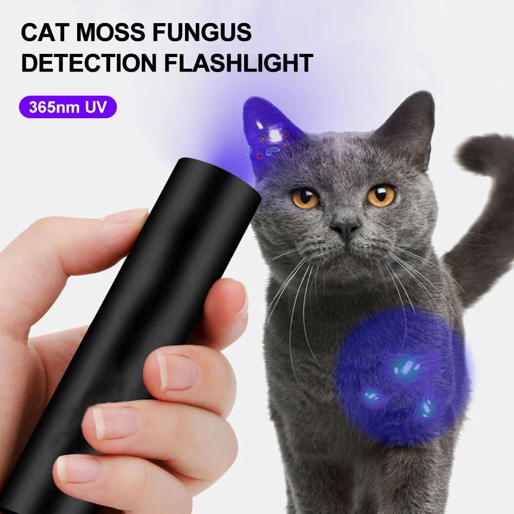 Mini 365nm/395nm UV Flashlight Invisible Torch Violet Lamp Pet Stains Urine Scorpion Feminine Hygiene Detector Light