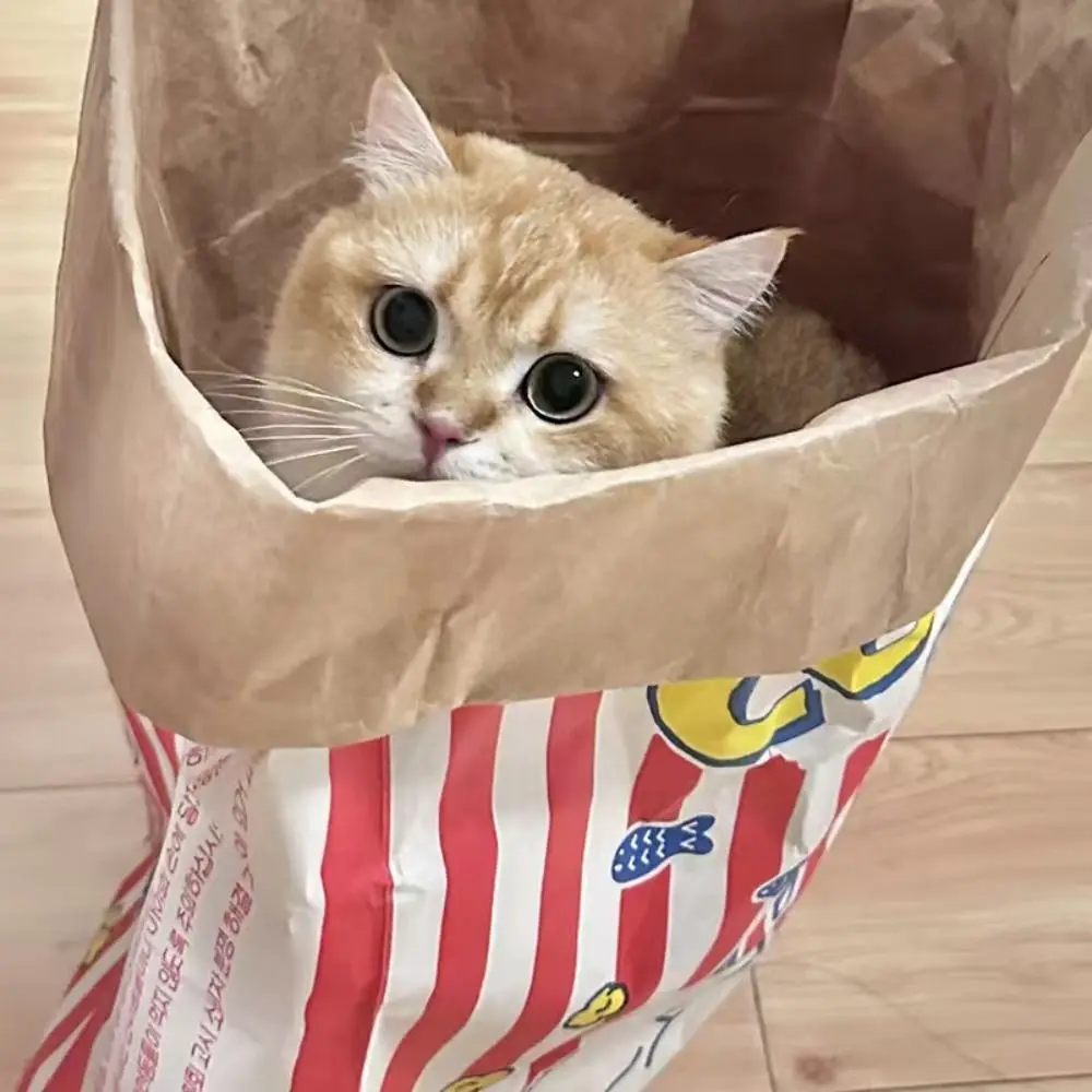Cute Decompression Popcorn Paper Bag Hide-and-seek Chew Food Pet Toy Sound Puzzle Cat and Dog Kraft Paper Bag