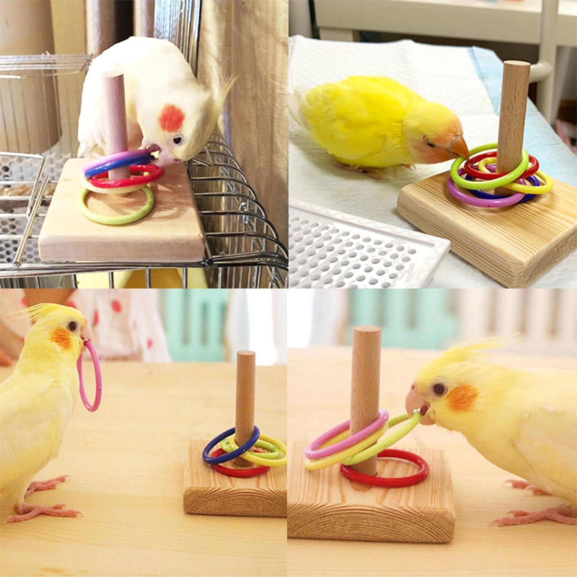 Parrot Bird Ring Toy Solid Wood Educational Bird Supplies Intelligence Training Interactive Parrot Toys Birds Accessories