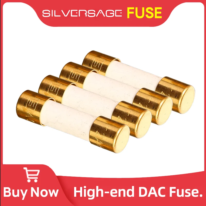 Fusible SILVERSAGE HIFI DAC, aleación Nano, fusible de alta gama para GUSTARD R26 TOPPING SMSL AUNE