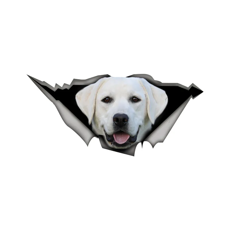 DK559# 3D White Labrador  Car Sticker, Fun Waterproof Sticker for Cars, Trucks, Motorcycles, Walls, Windows, PVC Material
