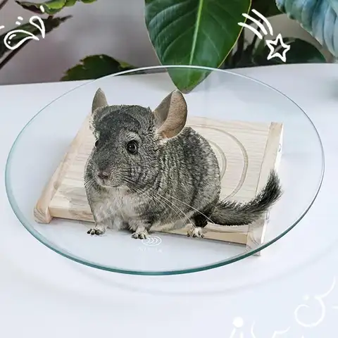 Hamster Wheel Cage Accessories Mute Spinner Disc Silent Running Wheel Hamster Toy for Mice Small Pets Gerbils Rat Hamsters