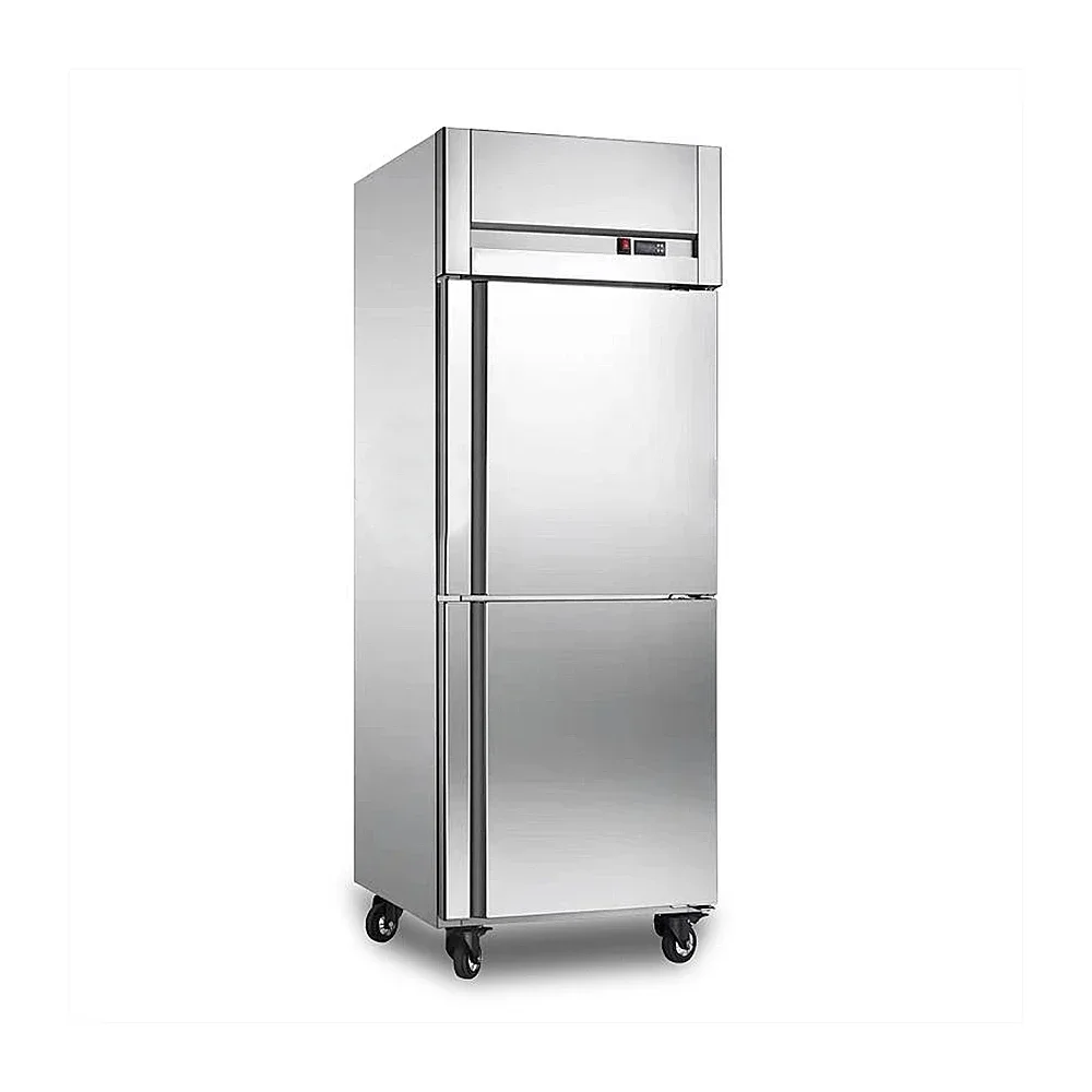 

Fast Cooling Speed Vertical Freezer Rapid Deep Cold Economical Air Cooling 2 4 6 Doors Commercial Upright Freezer Chiller