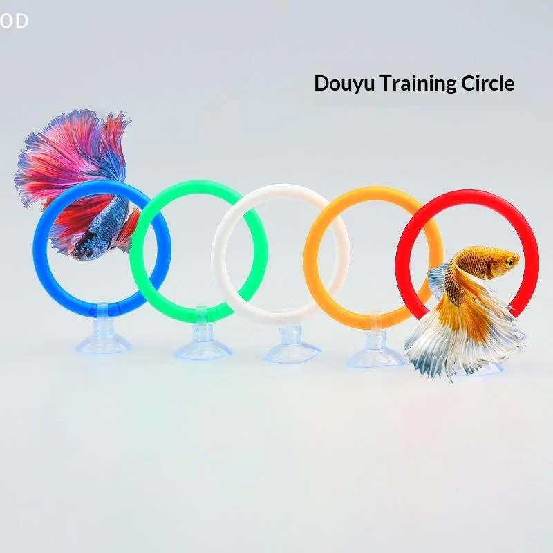 Colorful Betta Fish Training Rings Set, Interactive Suction Cup Training Rings For Betta Fish Tail Flaring And Gill
