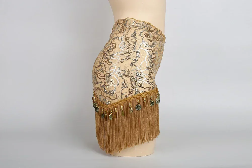 Accessoires de Costume professionnels de danse du ventre, pièces de monnaie de danse orientale, ceinture Triangle, écharpe de hanche pour femmes, vêtements féminins