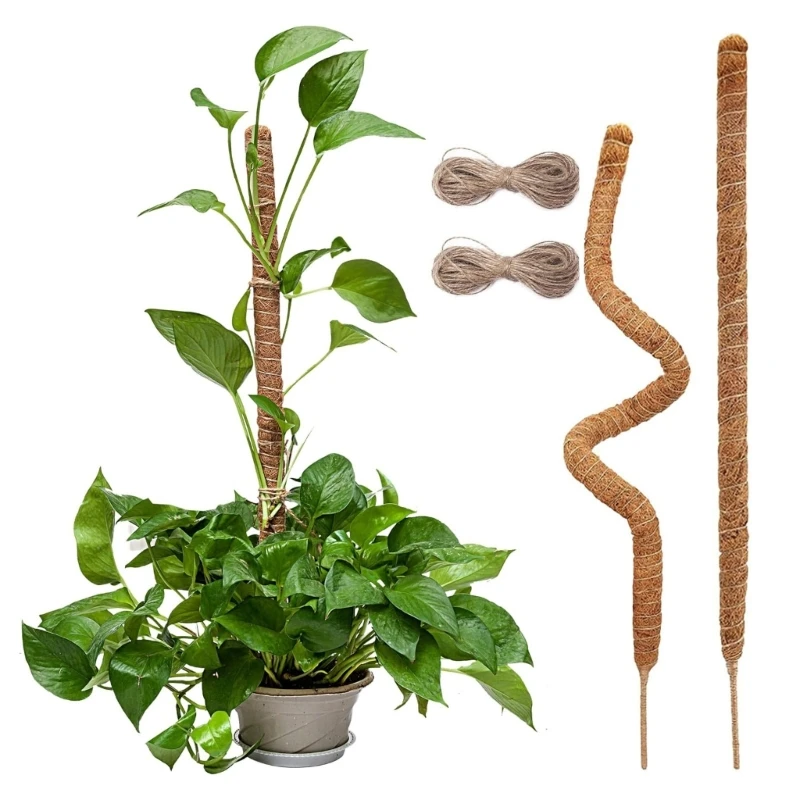 

Moss Poles for Plant Monstera Flexible Reusable Grow Greenery Upwards Climbing Stakes Self Watering Plant Support