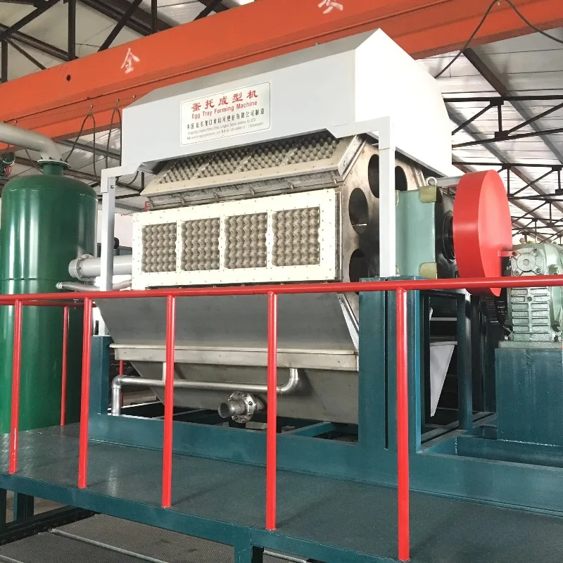 Egg Tray Making Machine Manufacturing Equipment Pulp Molding Production Line System For Egg Box Crate Forming And Drying
