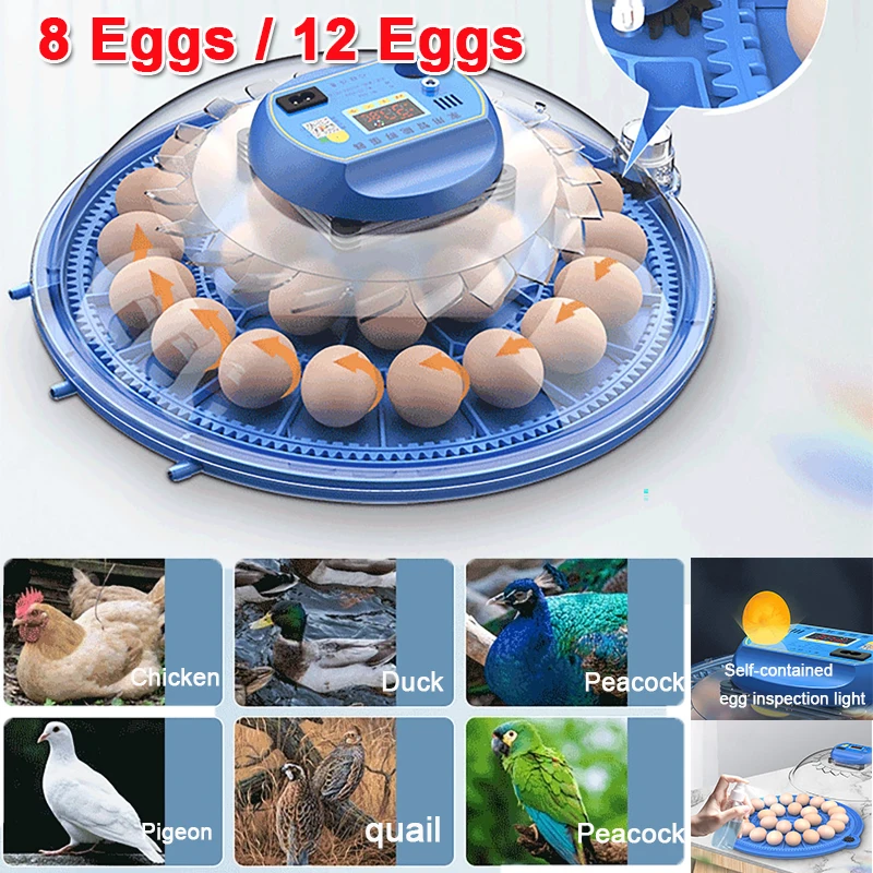 

8 Eggs Flying Saucer Egg Incubator Fully Automatic Brooder Egg Incubator with Water Ion Water Replenishment Temperature Control