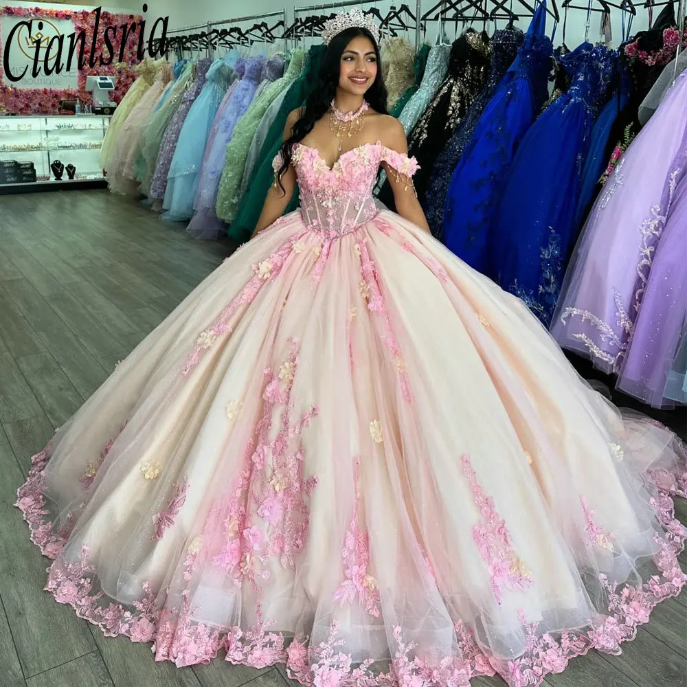 Pink Illusion Off The Shoulder Quinceanera Dresses Ball Gown 3D Flowers Appliques Lace Customized Corset Vestidos De XV Anos