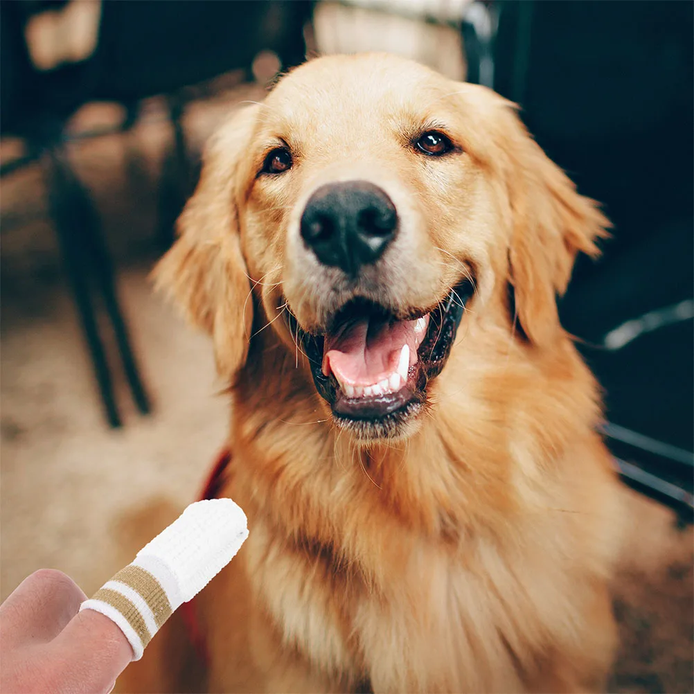 3 uds. Cunas de limpieza para dedos, cepillo de dientes suave para perros, cepillo de dientes suave para dedos de perros, herramienta para dientes, raza pequeña, gatos, perros, salud