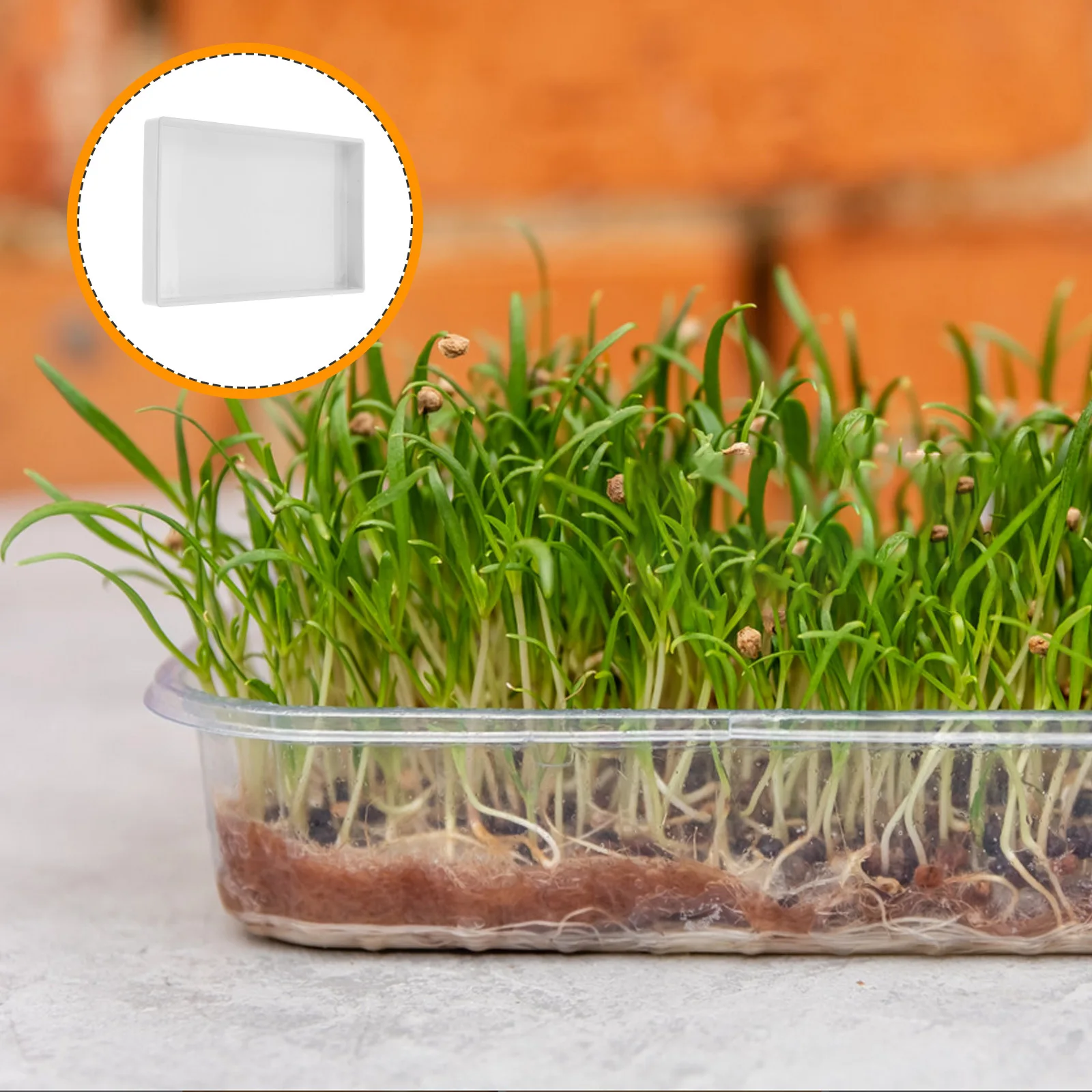 

Mason Jar Sprouting Tray White Plastic Growing Tray for Home Sprout Maker Indoor Planting Seed Germination Trays Kitchen Jar