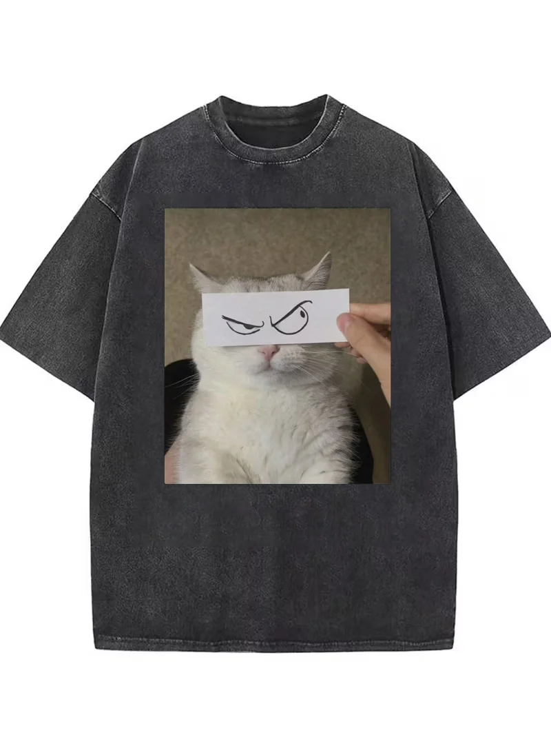 Funny Angry Cat Dinosaur Meme Graphic T-Shirt, Retro Washed Tee For Men Women Travel Daily Vacation Stylish Casual Street Looks