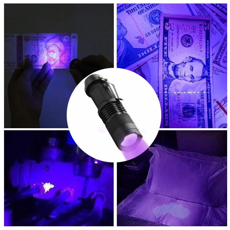 Mini lampe de poche UV LED, torche ultraviolette zoomable, lumières ultra en verre pour scorpions, urine d'animaux, lampe d'inspection SAF, 395 nm, 365nm