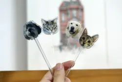 10/30/50/70/100 pezzi stampa acrilica personalizzata Dog Cat Drink Stir Stick, Cocktail acrilico acquerello personalizzato per animali domestici