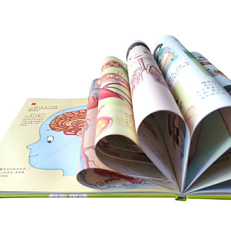 Children's Body Encyclopedia Enlightenment Children's Gender Cognition Body Structure Early Education Enlightenment Book