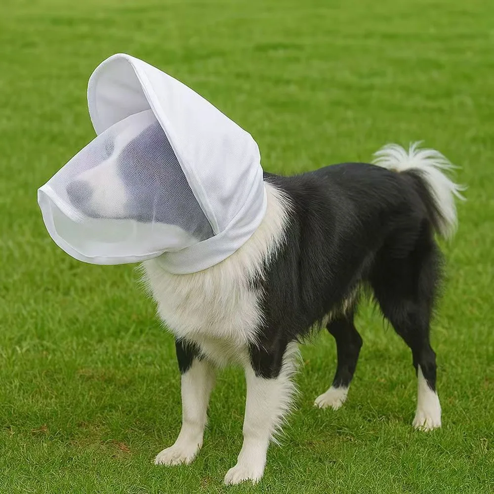 Breathable Protective Mask for Dogs To Prevent Indiscriminate Eating and Biting, Used To Prevent Licking After Surgery.