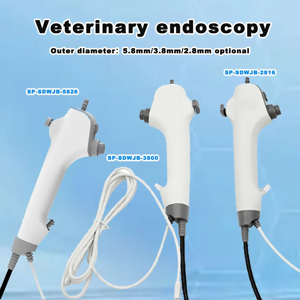 ENT Veterinary Endoscope Camera Multi-function Flexible Urology Endoscopy Cystoscope with Biopsy Forceps For Animal Pet