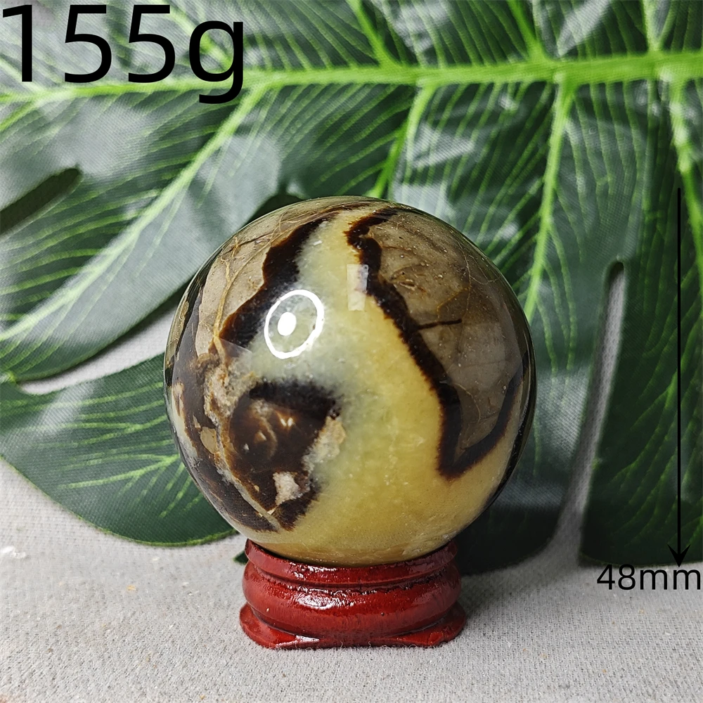 Septarium Turtle Stone Ball Geode Hand-polished Home Spiritual Garden Decoration Witchcraft Altar Crystal With Stone Healing