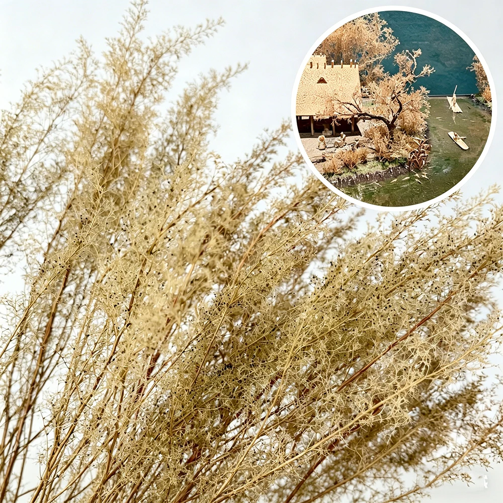 

12-20CM Miniature Sea Foam Tree Model Natural Dried Thorny Twigs For Railway Layout Military Wargame Bush Terrain Plants 1box