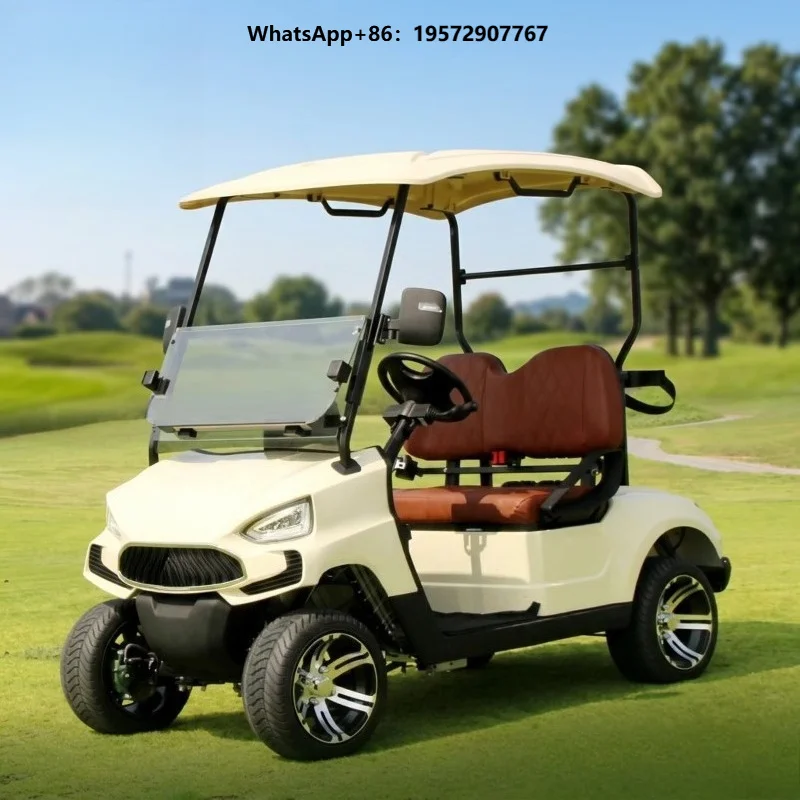 Electric Golf Cart 2 Seats Fast Shipping 2 Seater Golf Cart Factory Direct Price