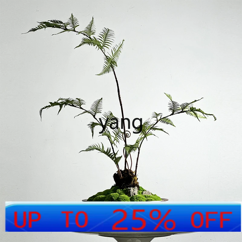 

LH zen immortal moss dog hair fern green plants handmade imitation copper lobby ornament