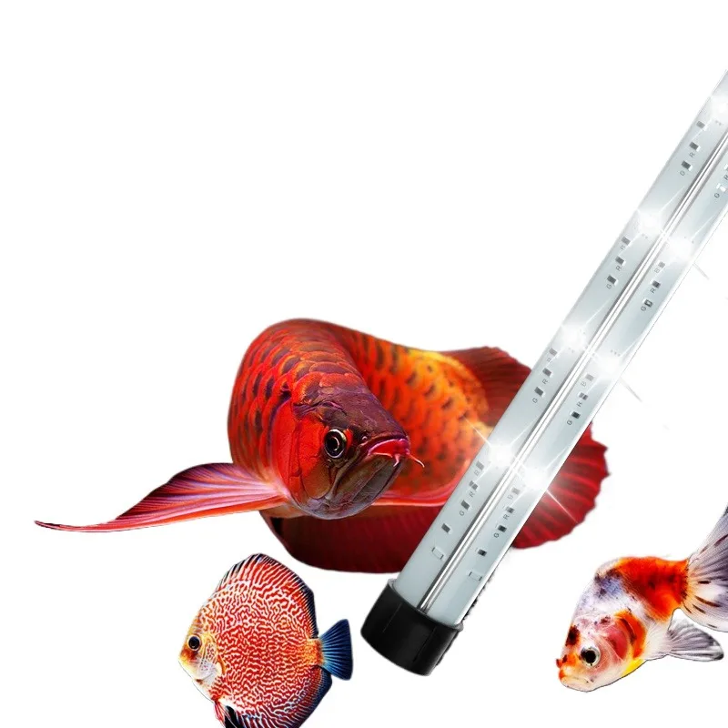 

Red Dragon Koi Lamp Colorful Fairy Goldfish Parrot Sanhu Arhat Fish Tank Diving Lamp