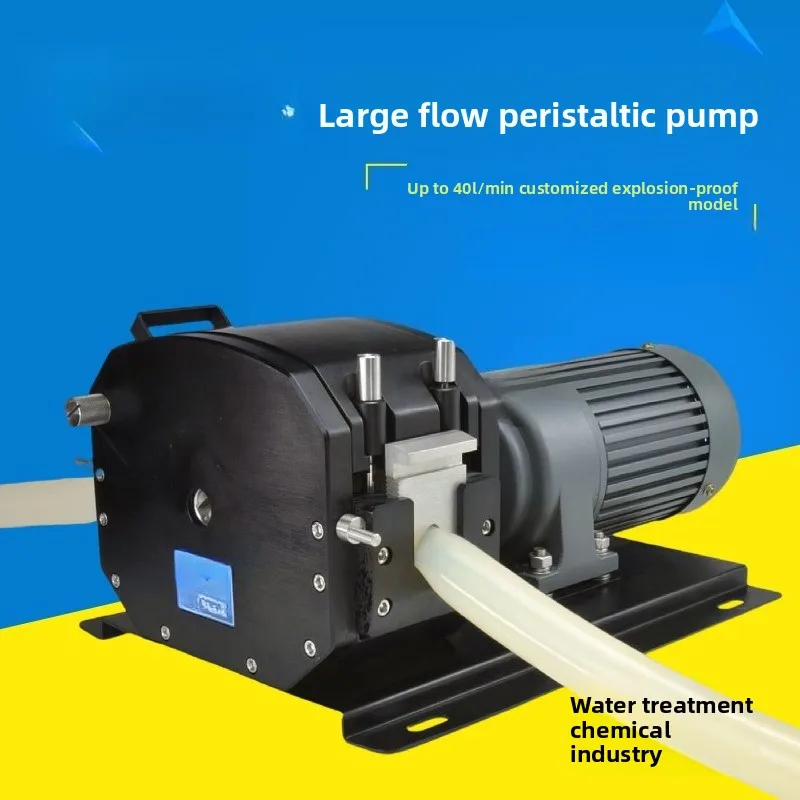 Servo motor Intelligent touch screen Variable frequency peristaltic pump Precision pump