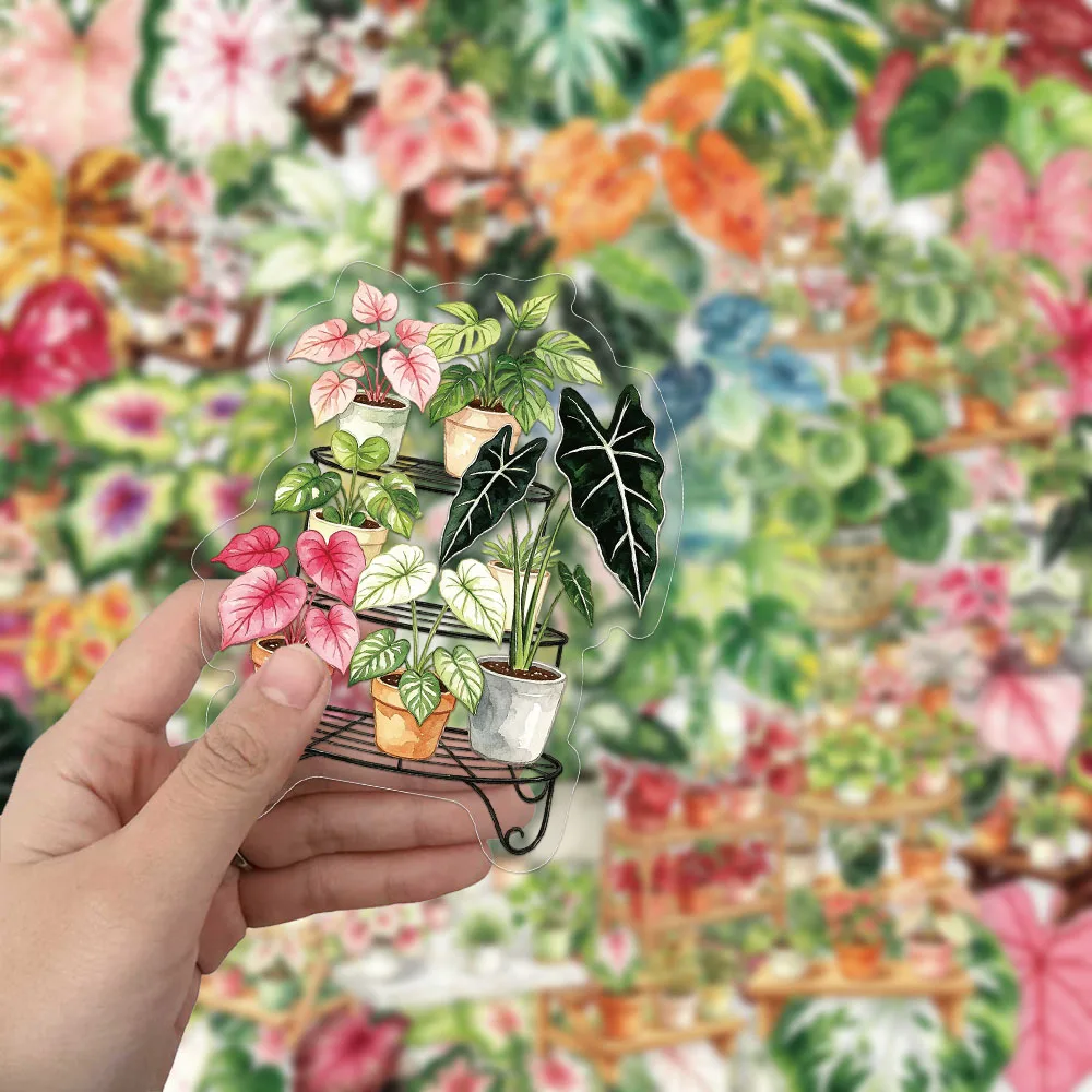 50PCS Creative Taro Notebook PET Transparent Material Stickers Exquisite DIY Phone Case Personalized Decorative Stickers