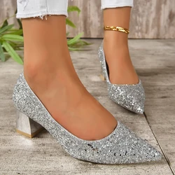 Silver Glitter Thick Heels Pumps Women Luxury Pointed Toe Party Wedding Shoes Woman Plus Size 42 Shallow High Heels Pumps Ladies