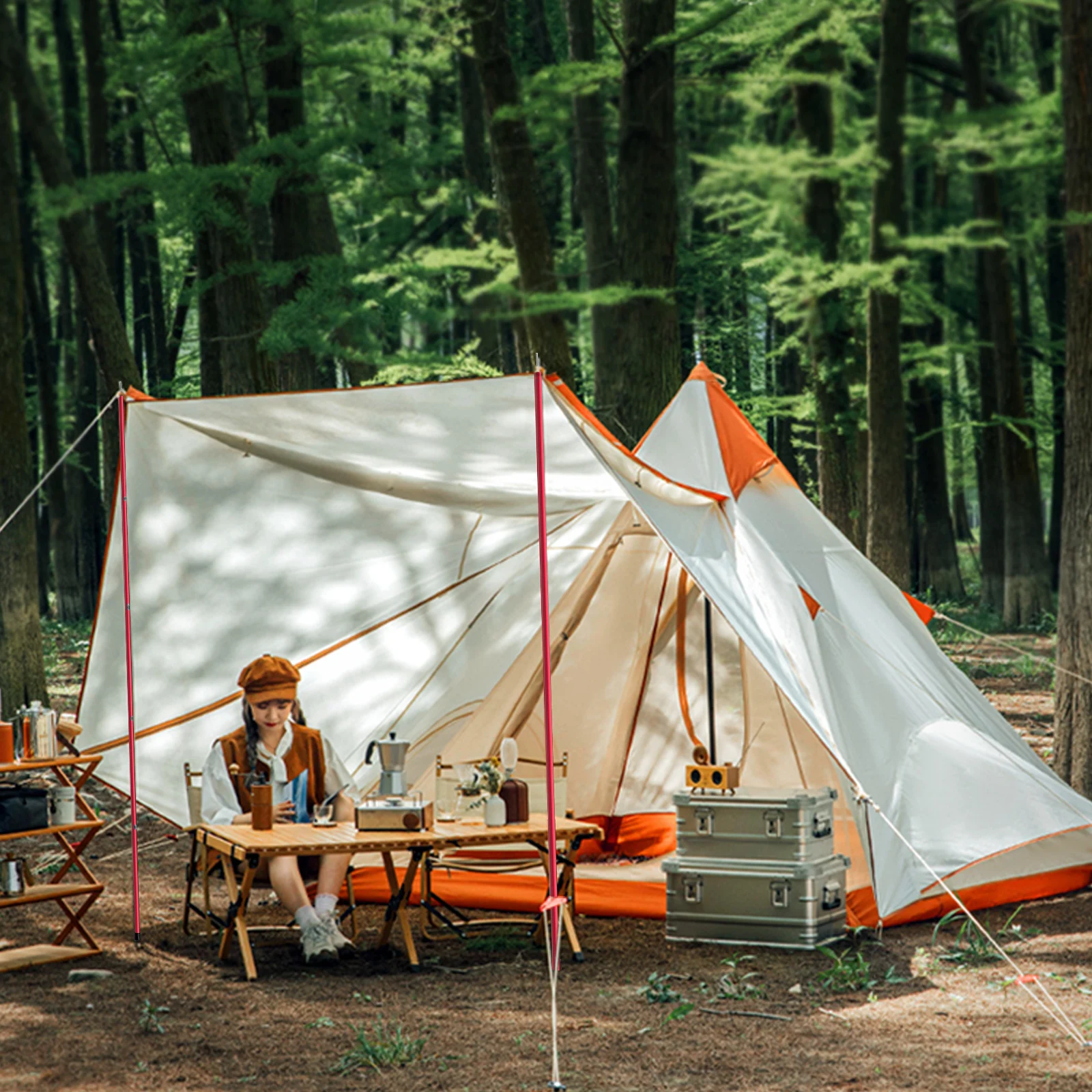 SANLIKE Aluminum Tent Poles for Tarp - 75in Collapsible Poles for Awnings, Canopy, Rain Fly, Shelter view 6