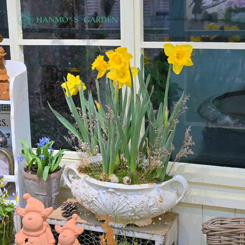 Garden, cast iron binaural shell basin
