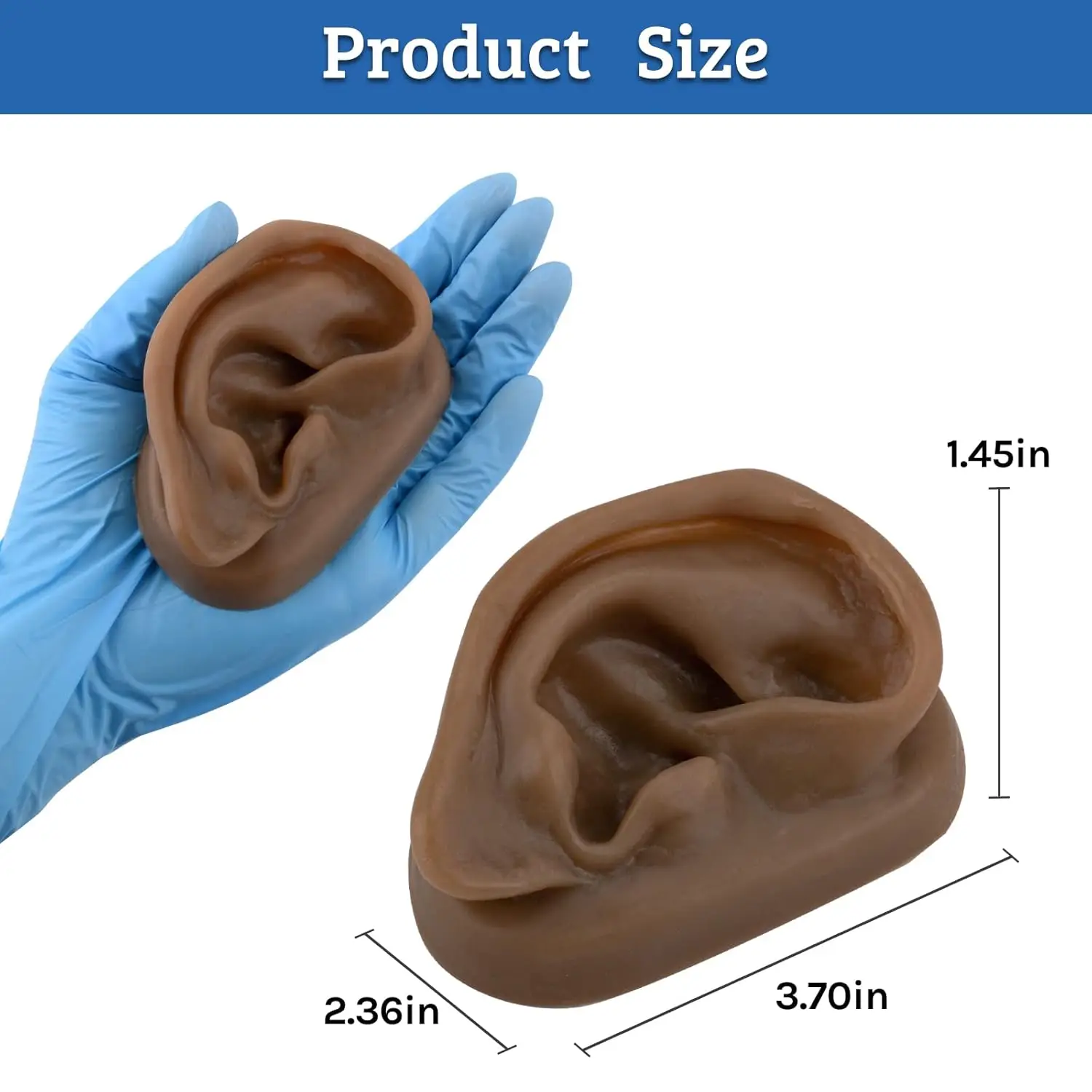 Right Artificial Ear Replica Acupuncture Ear Model Piercing Practice Hearing Aids Jewelry Display for Auricular Therapy Teaching