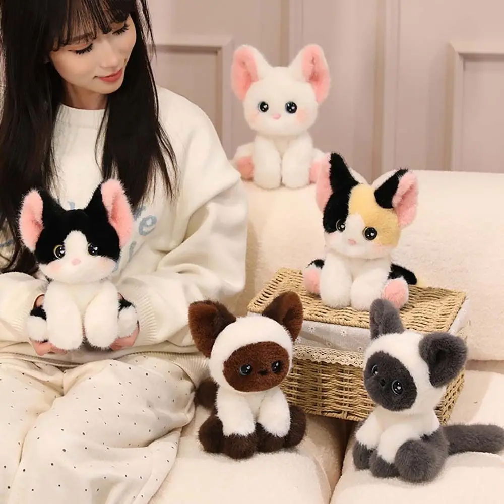 Muñeco compañero de peluche de 24cm a la moda, almohada de peluche de gato, juguete de peluche de Animal súper suave, regalo para dormir