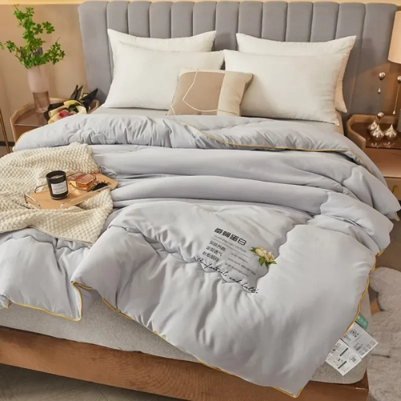 2024 New Class A Skin-friendly Soft Silk Quilt Warm Thickened Winter Silk Quilt Core four season universal blanket